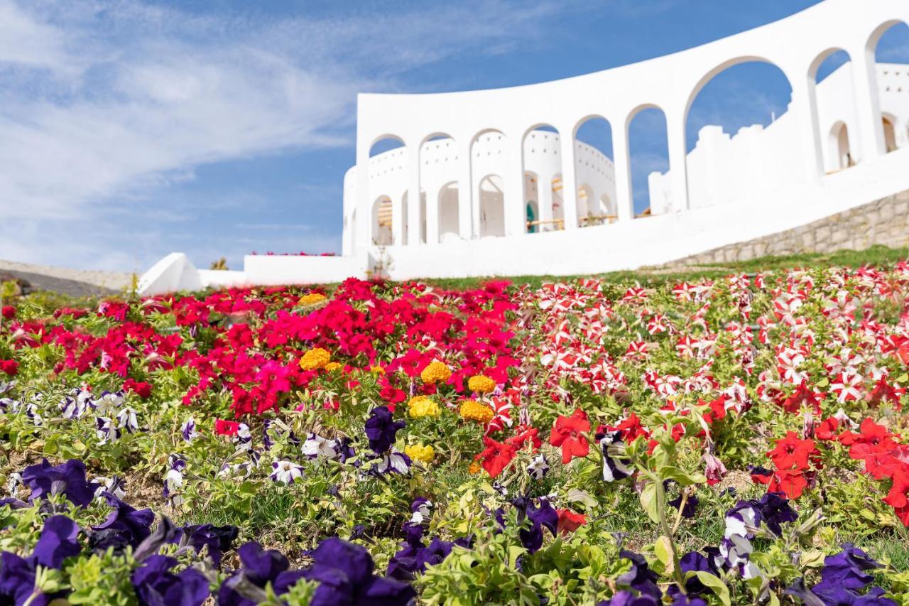 Benben By Dhara Hotels - Adults Only أسوان المظهر الخارجي الصورة The Flower Festival in the city of Akita